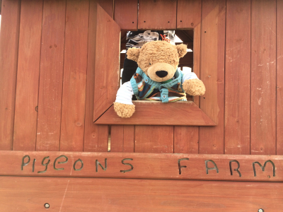 Hector at Pigeons Farm