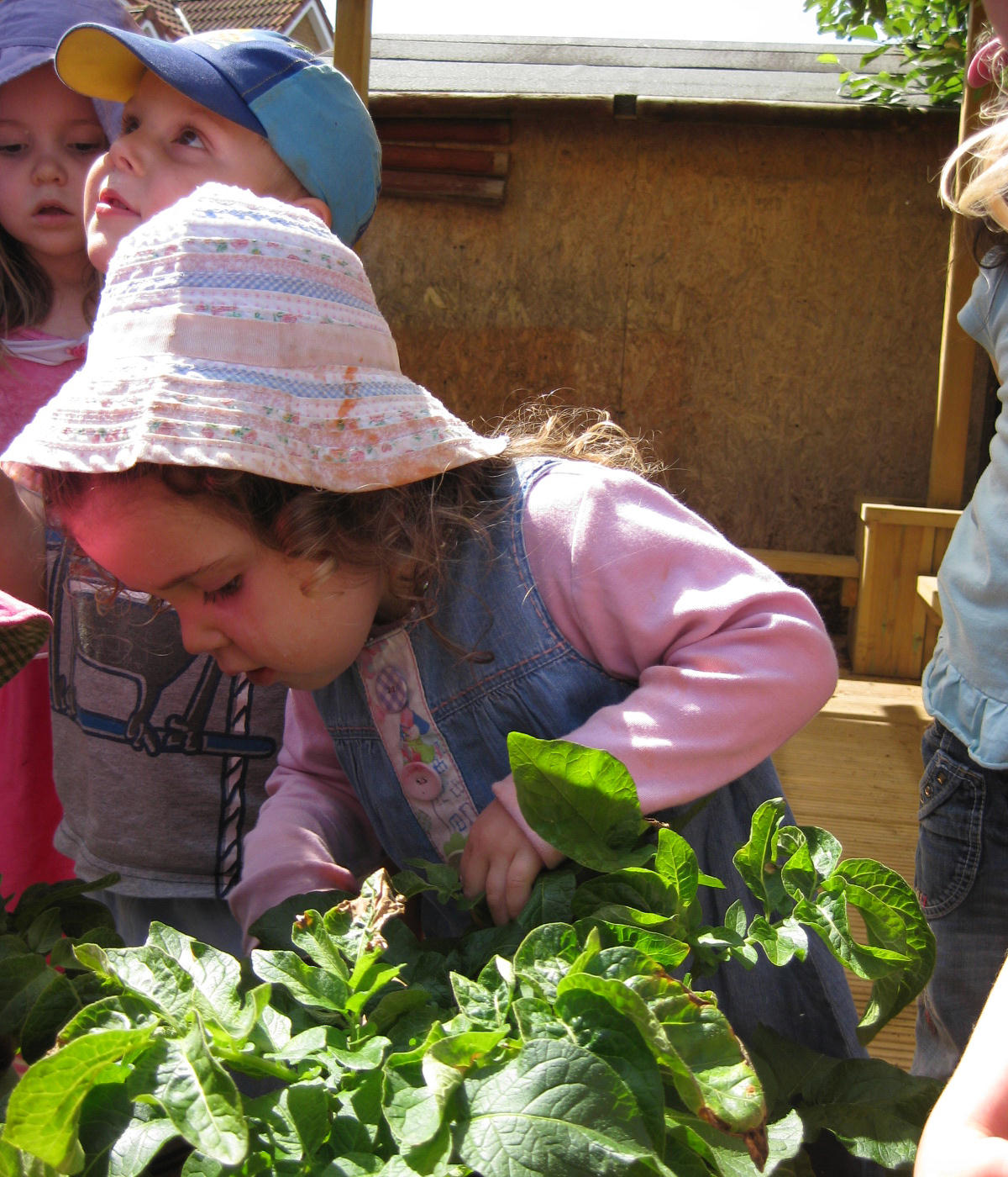 The Teddy Bears Inn Day Nursery, Peterborough